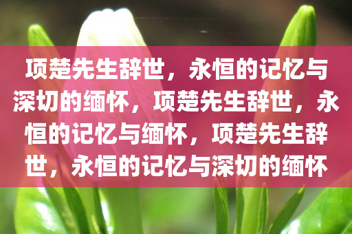 项楚先生辞世，永恒的记忆与深切的缅怀，项今晚必出三肖2025_2025新澳门精准免费提供·精确判断楚先生辞世，永恒的记忆与缅怀，项楚先生辞世，永恒的记忆与深切的缅怀