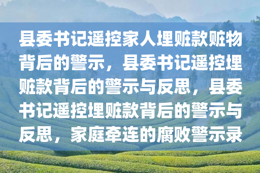 县委书记遥控家人埋赃款赃物背后的警示，县委书记遥控埋赃款背后的警示与反思，县委书记遥控埋赃款背后的警示与反思，家庭牵连的腐败警示录今晚必出三肖2025_2025新澳门精准免费提供·精确判断