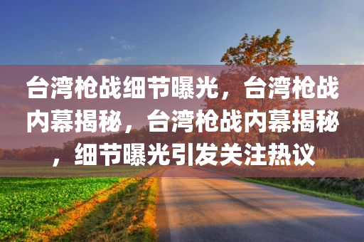 台湾枪战细节曝光，台湾枪战内幕揭秘，台湾枪战内幕揭秘，细节曝光引发关注热议