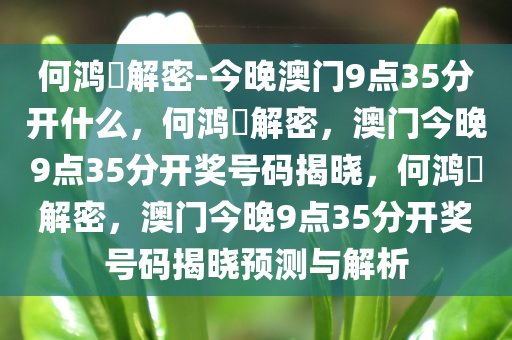 何鸿燊解密-今晚澳门9点35分开什么，何鸿燊解密，澳门今晚9点35分开奖号码揭晓，何鸿燊解密，澳门今晚9点35分开奖号码揭晓预测与解析