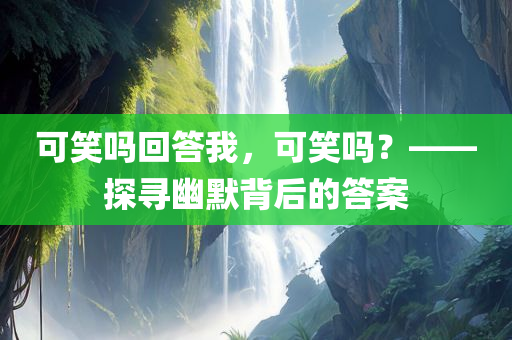 可笑吗回答我，可笑吗？——探寻幽默背后的答案