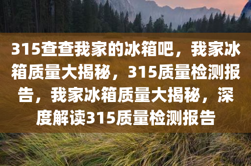 315查查我家的冰箱吧，我家冰箱质量大揭秘，315质量检测报告，我家冰箱质量大揭秘，深度解读315质量检测报告今晚必出三肖2025_2025新澳门精准免费提供·精确判断