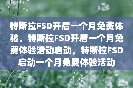 特斯拉FSD开启一个月免费体验，特斯拉FSD开启一个月免费体今晚必出三肖2025_2025新澳门精准免费提供·精确判断验活动启动，特斯拉FSD启动一个月免费体验活动