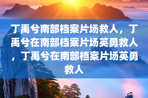 丁禹兮南部档案片场救人