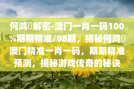 何鸿燊解密-澳门一肖一码100%期期精准/98期，揭秘何鸿燊澳门精准一肖一码，期期精准预测，揭秘游戏传奇的秘诀