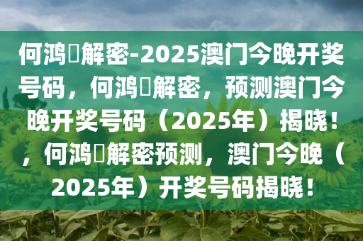 何鸿燊解密-2025澳门今晚开奖号码，何鸿燊解密，预测澳门今晚开奖号码（2025年）揭晓！，何鸿燊解密预测，澳门今晚（2025年）开奖号码揭晓！