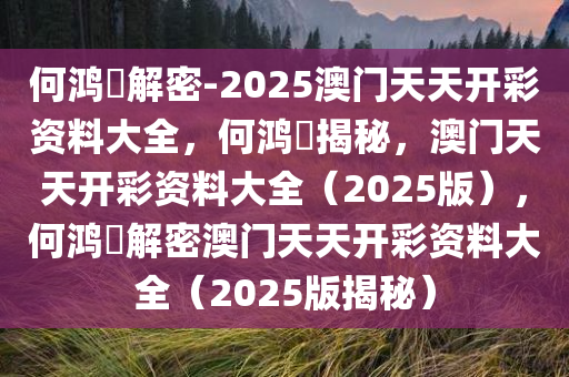 何鸿燊解密-2025澳门天天开彩资料大全