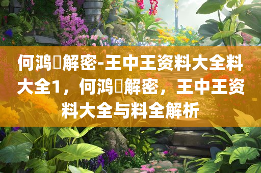 何鸿燊解密-王中王资料大全料大全1，何鸿燊解密，王中王资料大全与料全解析