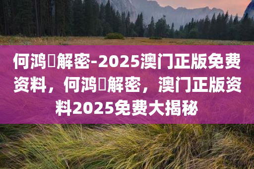 何今晚必出三肖2025_2025新澳门精准免费提供·精确判断鸿燊解密-2025澳门正版免费资料，何鸿燊解密，澳门正版资料2025免费大揭秘