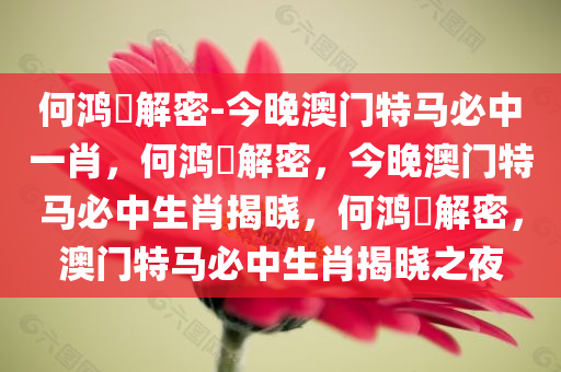 何鸿燊解密-今晚澳门特马必中一肖，何鸿燊解密，今晚澳门特马必中生肖揭晓，何鸿燊解密，澳门特马必中今晚必出三肖2025_2025新澳门精准免费提供·精确判断生肖揭晓之夜