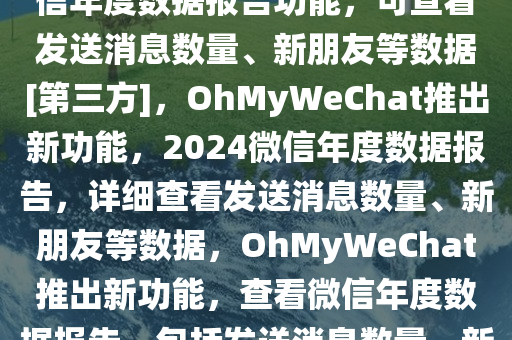 OhMyWeChat 新增 2024 微信年度数据报告功能