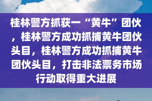 桂林警方抓获一“黄牛”团伙，桂林警方成功抓捕黄牛团伙头目，桂林警方成功抓捕黄牛团伙头目，打击非法票务市场行动取得重大进展