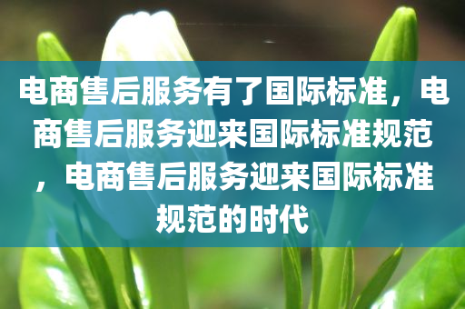 电商售后服务有了国际标准，电商售后服务迎来国际标准规范，电商售后服务迎来国际标准规范的时代