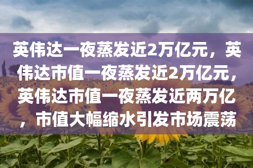 英伟达一夜蒸发近2万亿元，英伟达市值一夜蒸发近2万亿元，英伟达市值一夜蒸发近两万亿，市值大幅缩水引发市场震荡