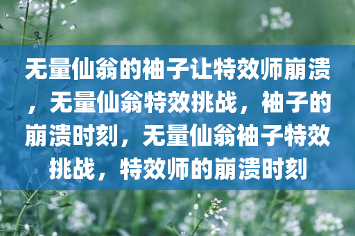 无量仙翁的袖子让特效师崩溃