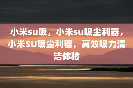 小米su吸，小米su吸尘利器，小米SU吸尘利器，高效吸力清洁体验