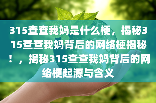 315查查我妈是什么梗，揭秘315查查我妈背后的网络梗揭秘！，揭秘315查查我妈背后的网络梗起源与含义