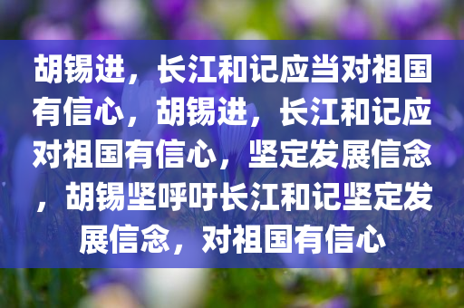 胡锡进，长江和记应当对祖国有信心，胡锡进，长江和记应对祖国有信心，坚定发展信念，胡锡坚呼吁长江和记坚定发展信念，对祖国有信心