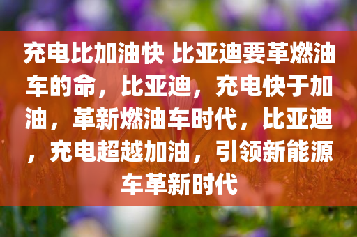 充电比加油快 比亚迪要革燃油车的命，比亚迪，充电快于加油，革新燃油车时代，比亚迪，充电超越加油，引领新能源车革新时代