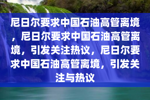 尼日尔要求中国石油高管离境