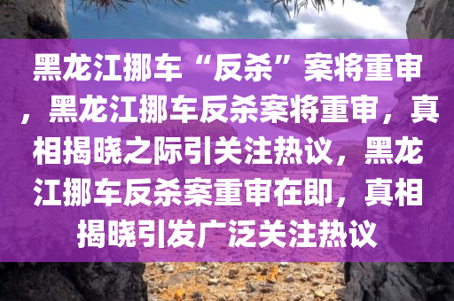 黑龙江挪车“反杀”案将重审，黑龙江挪车反杀案将重审，真相揭晓之际引关注热议，黑龙江挪车反杀案重审在即，真相揭晓引发广泛关注热议