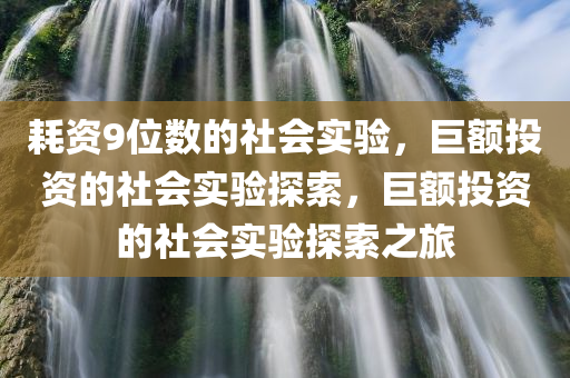 耗资9位数的社会实验