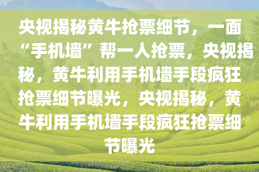 央视揭秘黄牛抢票细节，一面“手机墙”帮一人抢票，央视揭秘，黄牛利用手机墙手段疯狂抢票细节曝光，央视揭秘，黄牛利用手机墙手段疯狂抢票细节曝光