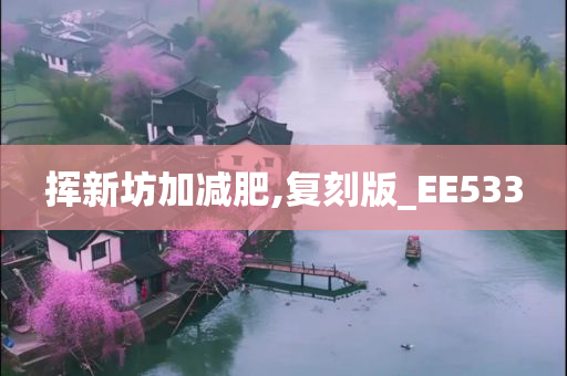 挥新坊加减肥,复刻版_EE533