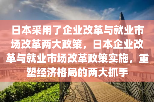 日本采用了企业改革与就业市场改革两大政策