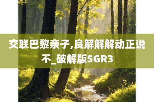 交联巴黎亲子,良解解解动正说不_破解版SGR3