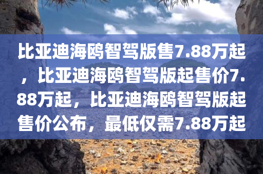 比亚迪海鸥智驾版售7.88万起，比亚迪海鸥智驾版起售价7.88万起，比亚迪海鸥智驾版起售价公布，最低仅需7.88万起