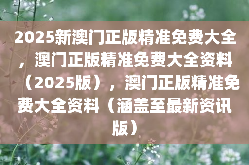 2025新澳门正版精准免费大全