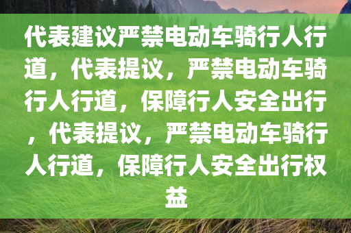 代表建议严禁电动车骑行人行道，代表提议，严禁电动车骑行人行道，保障行人安全出行，代表提议，严禁电动车骑行人行道，保障行人安全出行权益