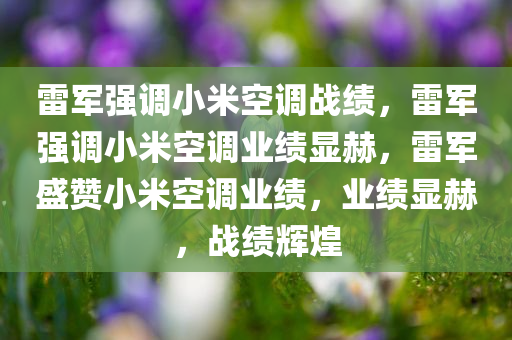 雷军强调小米空调战绩，雷军强调小米空调业绩显赫，雷军盛赞小米空调业绩，业绩显赫，战绩辉煌