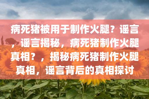 病死猪被用于制作火腿？谣言，谣言揭秘，病死猪制作火腿真相？，揭秘病死猪制作火腿真相，谣言背后的真相探讨