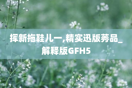 挥新拖鞋儿一,精实迅版莠品_解释版GFH5