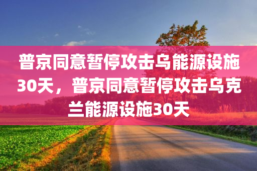 普京同意暂停攻击乌能源设施30天，普京同意暂停攻击乌克兰能源设施30天