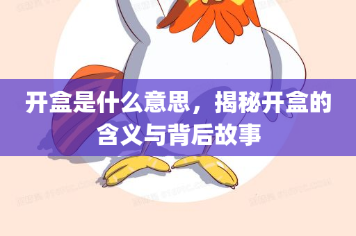 开盒是什么意思，揭秘开盒的含义与背后故事