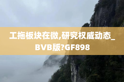 工拖板块在微,研究权威动态_BVB版?GF898