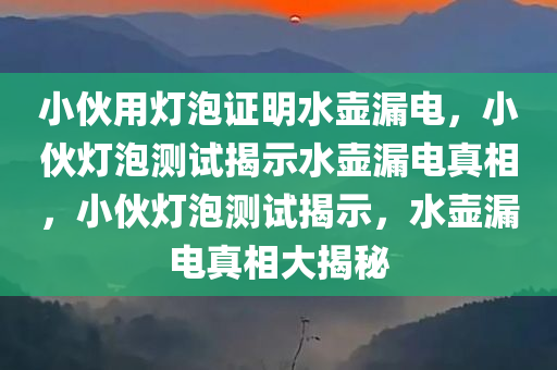 小伙用灯泡证明水壶漏电，小伙灯泡测试揭示水壶漏电真相，小伙灯泡测试揭示，水壶漏电真相大揭秘