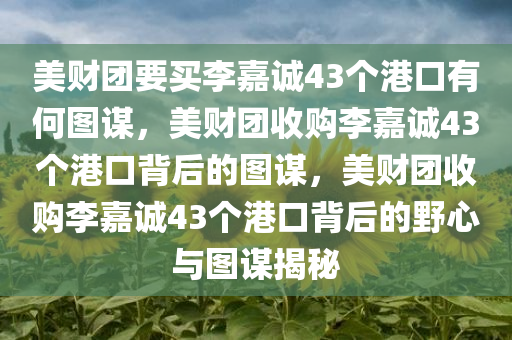 美财团要买李嘉诚43个港口有何图谋，美财团收购李嘉诚43个港口背后的图谋，美财团收购李嘉诚43个港口背后的野心与图谋揭秘