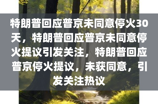 特朗普回应普京未同意停火30天，特朗普回应普京未同意停火提议引发关注，特朗普回应普京停火提议，未获同意，引发关注热议