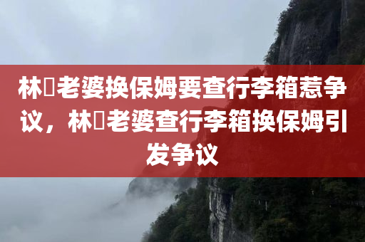 林峯老婆换保姆要查行李箱惹争议，林峯老婆查行李箱换保姆引发争议