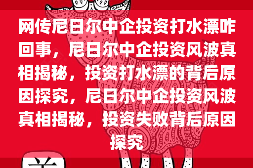 网传尼日尔中企投资打水漂咋回事，尼日尔中企投资风波真相揭秘，投资打水漂的背后原因探究，尼日尔中企投资风波真相揭秘，投资失败背后原因探究