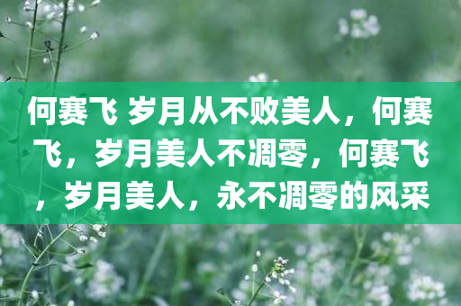 何赛飞 岁月从不败美人，何赛飞，岁月美人不凋零，何赛飞，岁月美人，永不凋零的风采