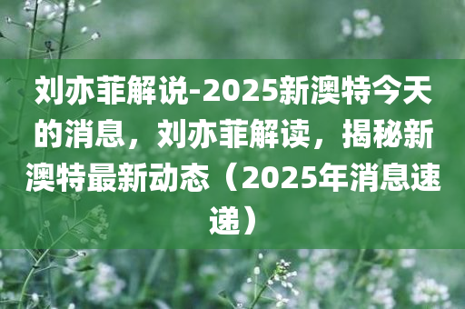 刘亦菲解说-2025新澳特今天的消息，刘亦菲解读，揭秘新澳特最新动态（2025年消息速递）