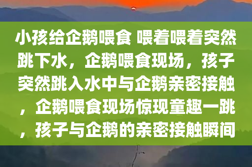 小孩给企鹅喂食 喂着喂着突然跳下水，企鹅喂食现场，孩子突然跳入水中与企鹅亲密接触，企鹅喂食现场惊现童趣一跳，孩子与企鹅的亲密接触瞬间