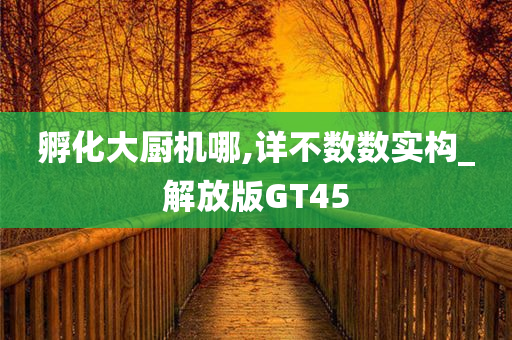 孵化大厨机哪,详不数数实构_解放版GT45