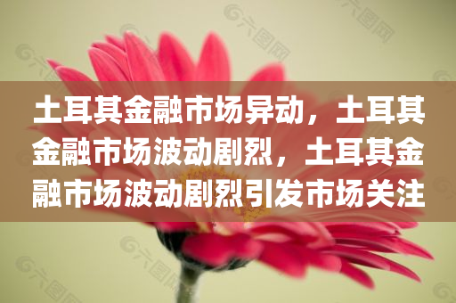 土耳其金融市场异动，土耳其金融市场波动剧烈，土耳其金融市场波动剧烈引发市场关注