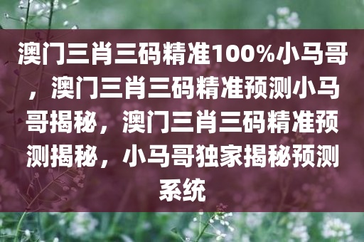 澳门三肖三码精准100%小马哥